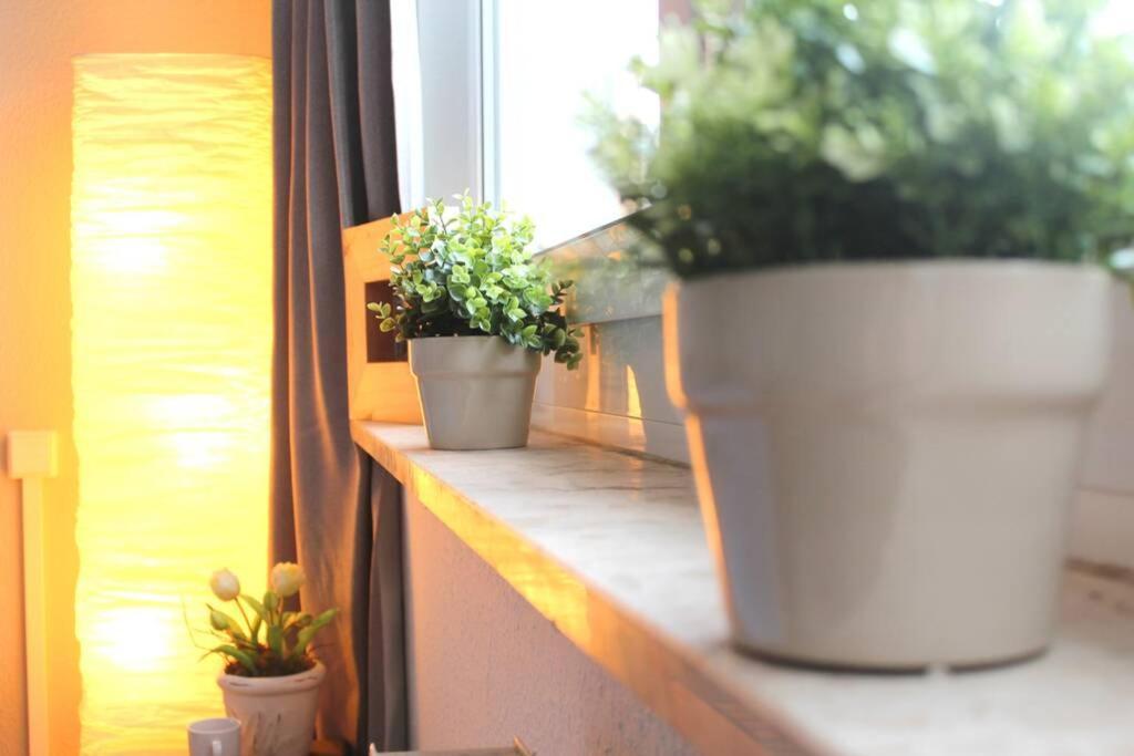 Apartment Bella Chemnitz Ngoại thất bức ảnh